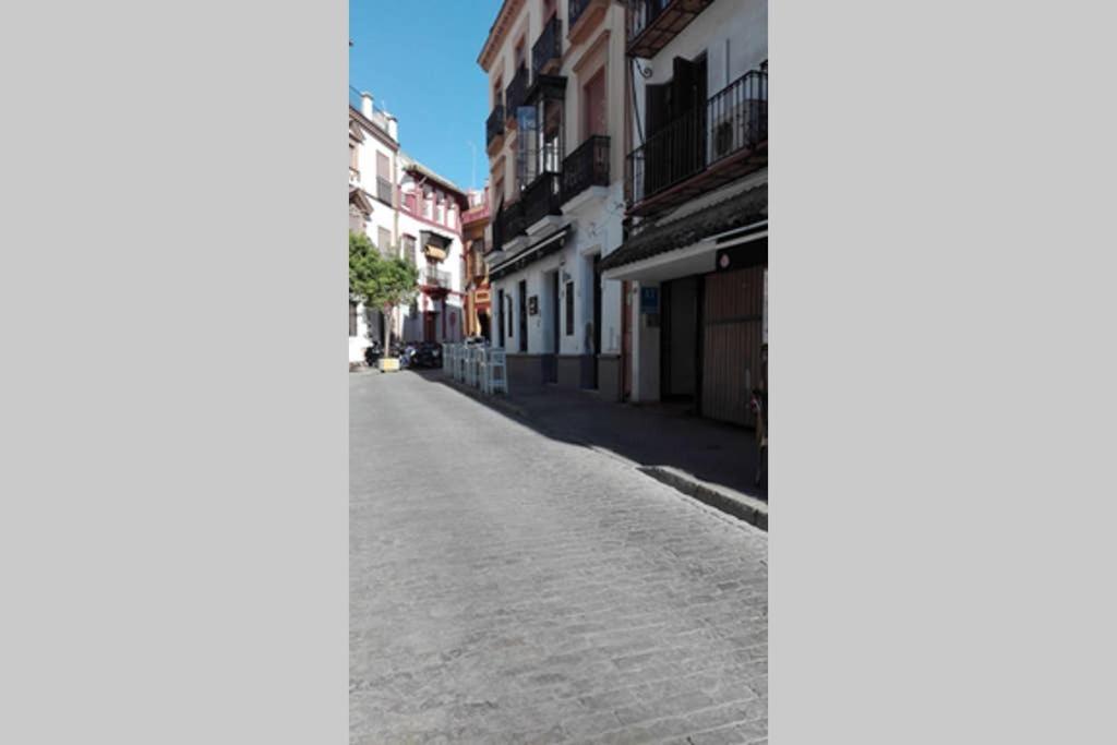 1 Minute From Cathedral. Feel The Heart Of Sevilla Buitenkant foto